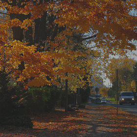 Улица. Осень